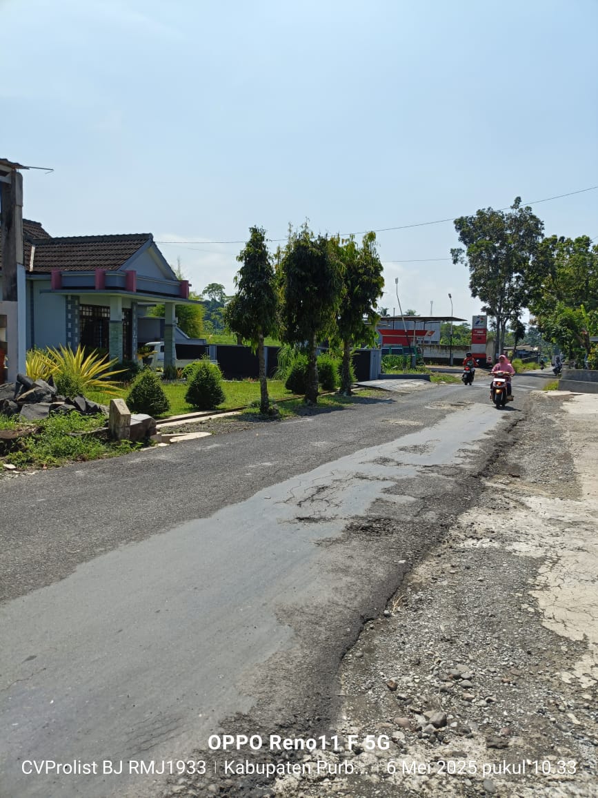 Dijual Rumah Bagus Ada Taman dan Kolam Ikan Koi