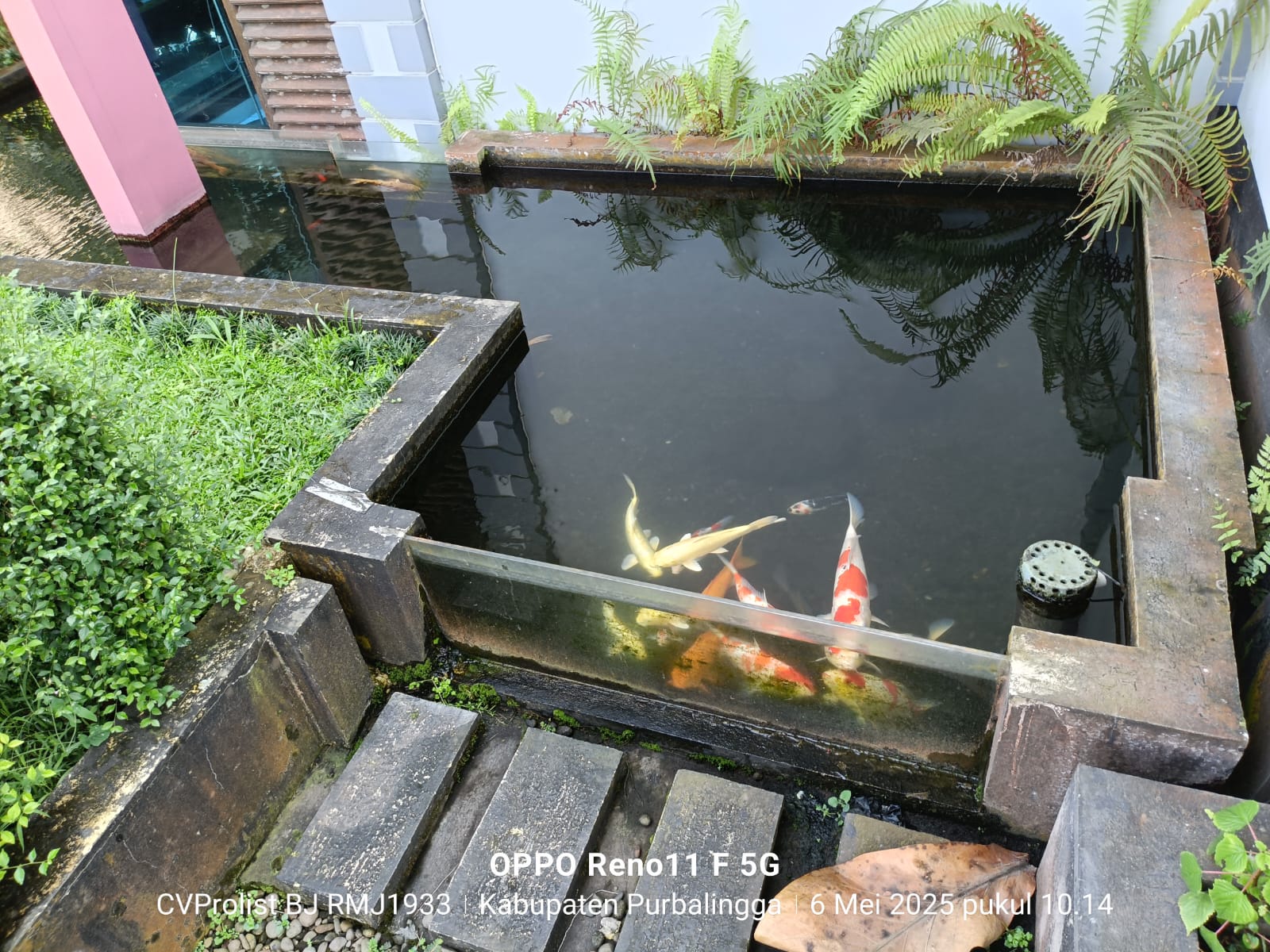 Dijual Rumah Bagus Ada Taman dan Kolam Ikan Koi