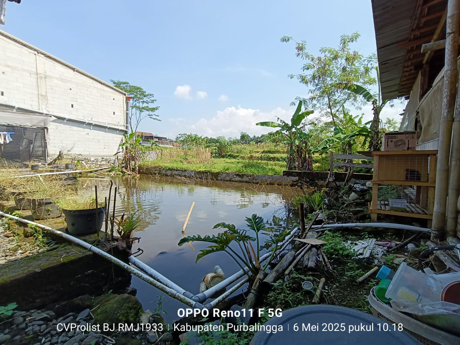 Dijual Rumah Bagus Ada Taman dan Kolam Ikan Koi