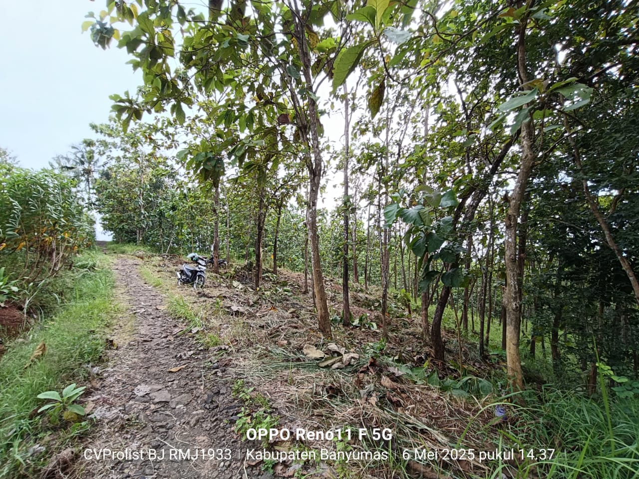 Dijual Tanah Kering Selangkah ke Obyek Wisata MOAFarm Wlahar Banyumas