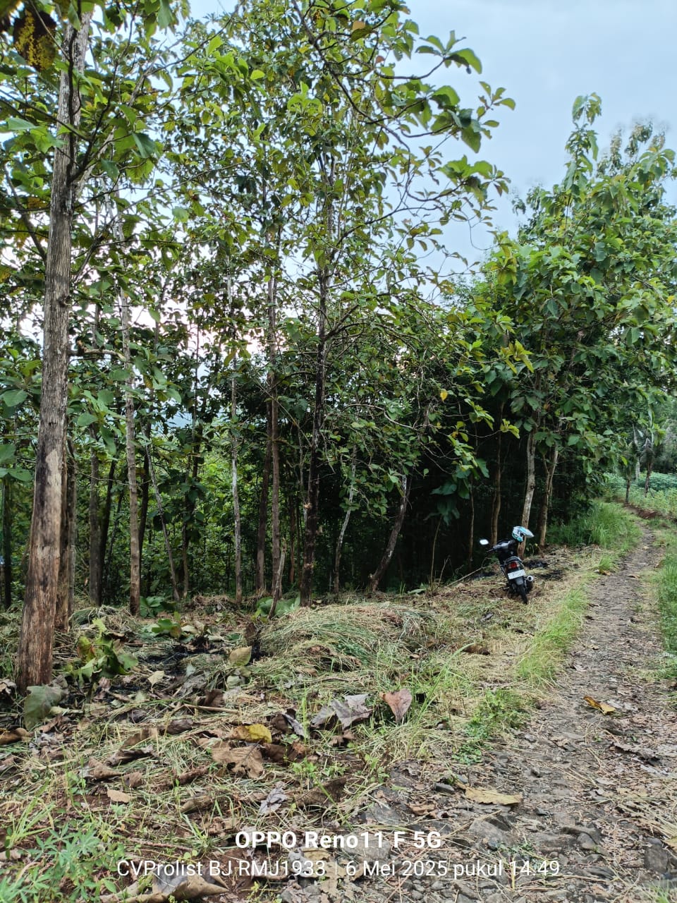 Dijual Tanah Kering Selangkah ke Obyek Wisata MOAFarm Wlahar Banyumas