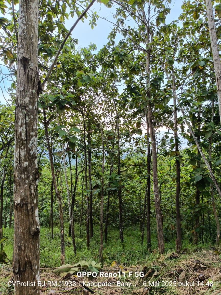 Dijual Tanah Kering Selangkah ke Obyek Wisata MOAFarm Wlahar Banyumas