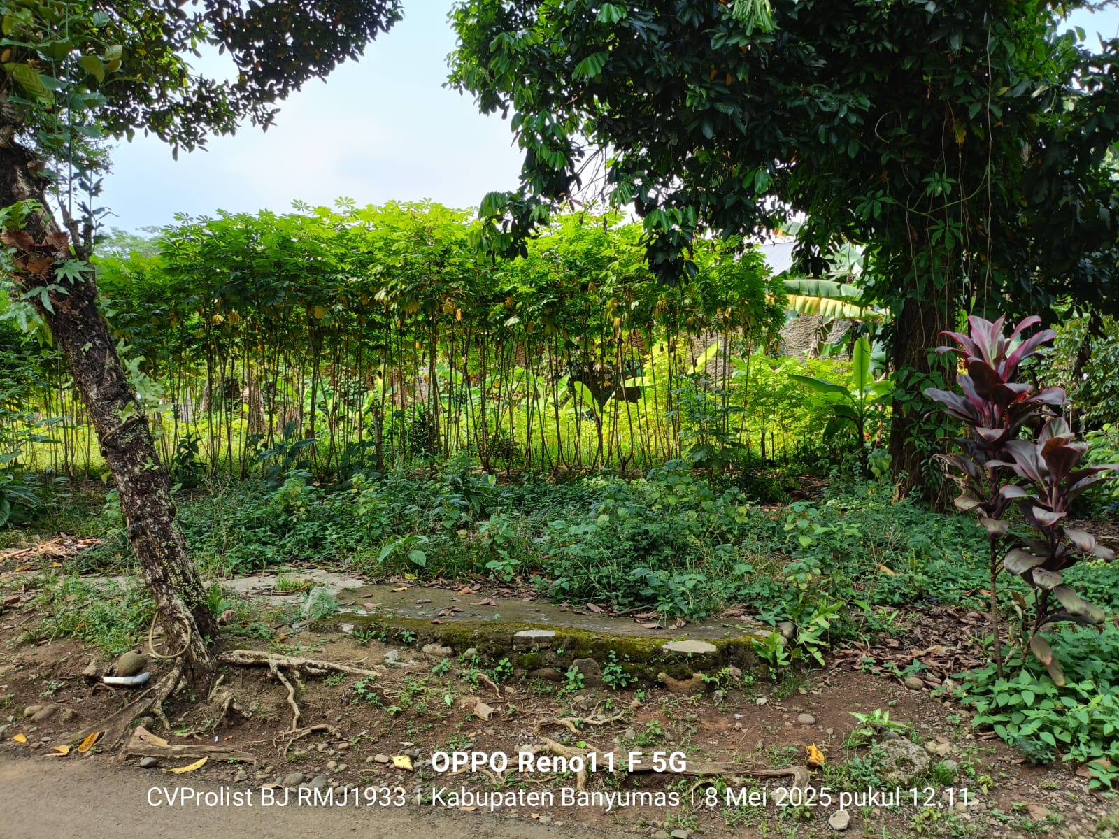 Dijual Tanah Dipinggir Jalan Provinsi Cilongok Ajibarang