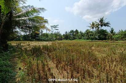 Dijual Tanah Komplek Perumahan Di Purwokerto Barat