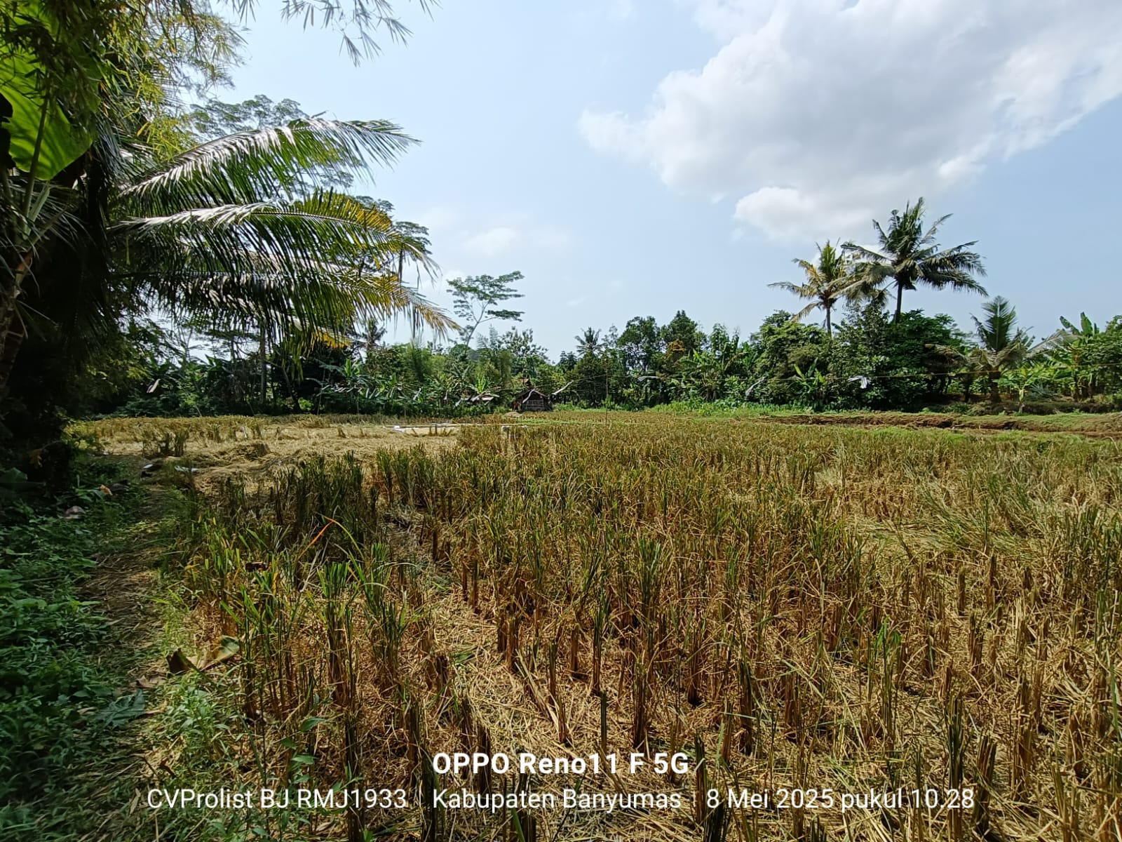 Dijual Tanah Komplek Perumahan Di Purwokerto Barat