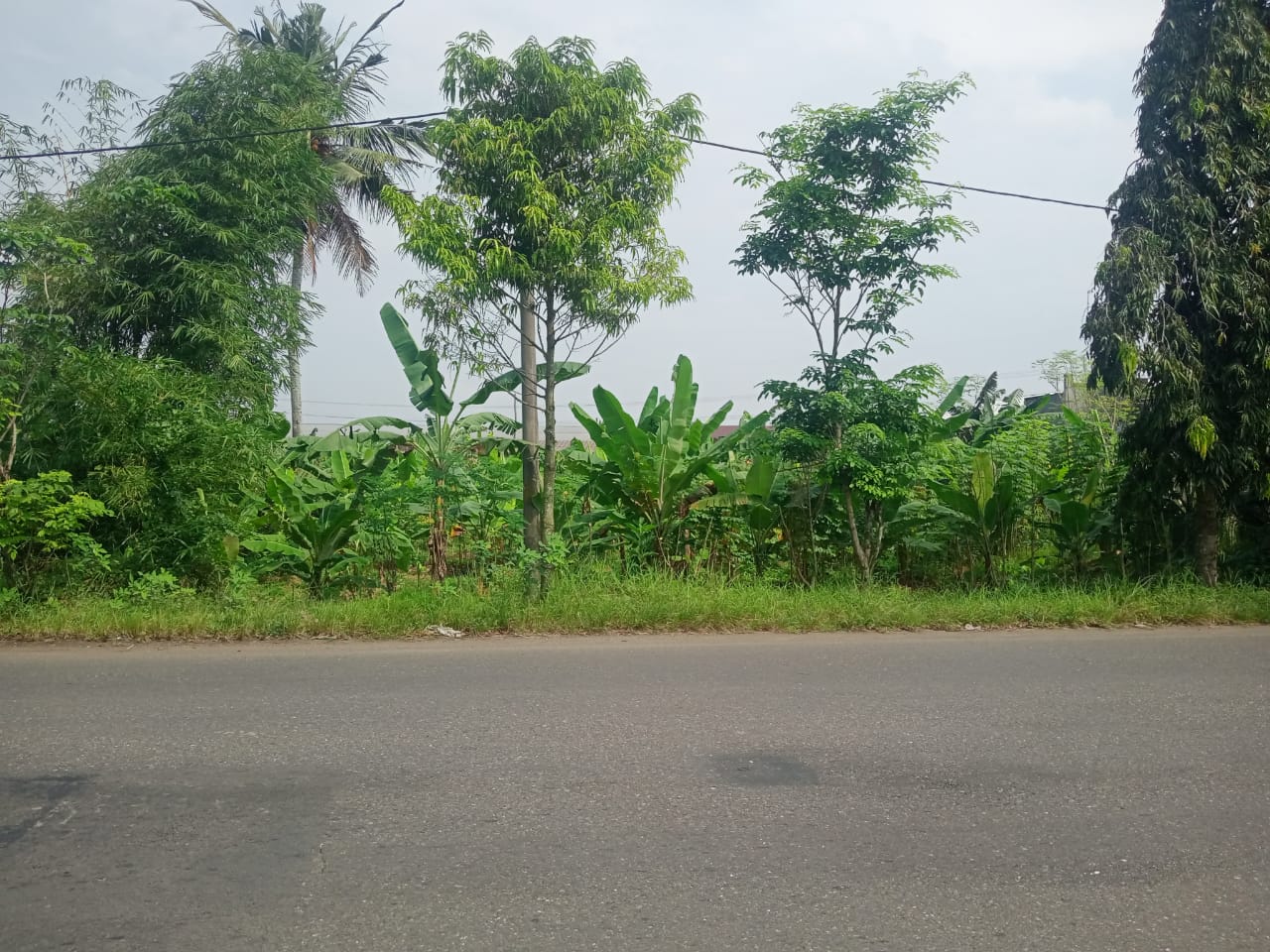 Dijual Tanah Cocok Untuk Gudang 1 Menit Terminal Bus Purwokerto