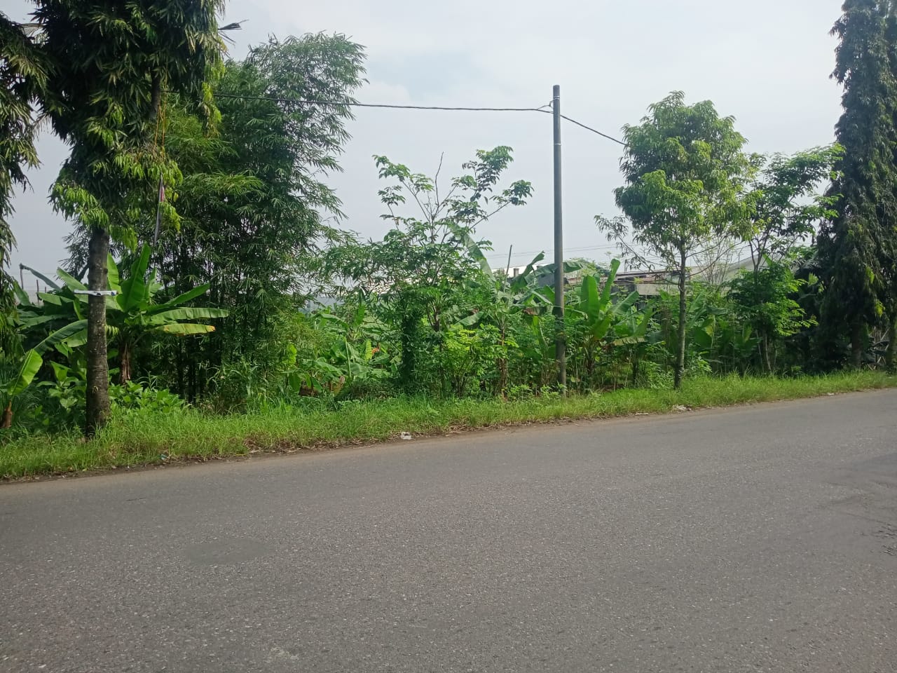 Dijual Tanah Cocok Untuk Gudang 1 Menit Terminal Bus Purwokerto