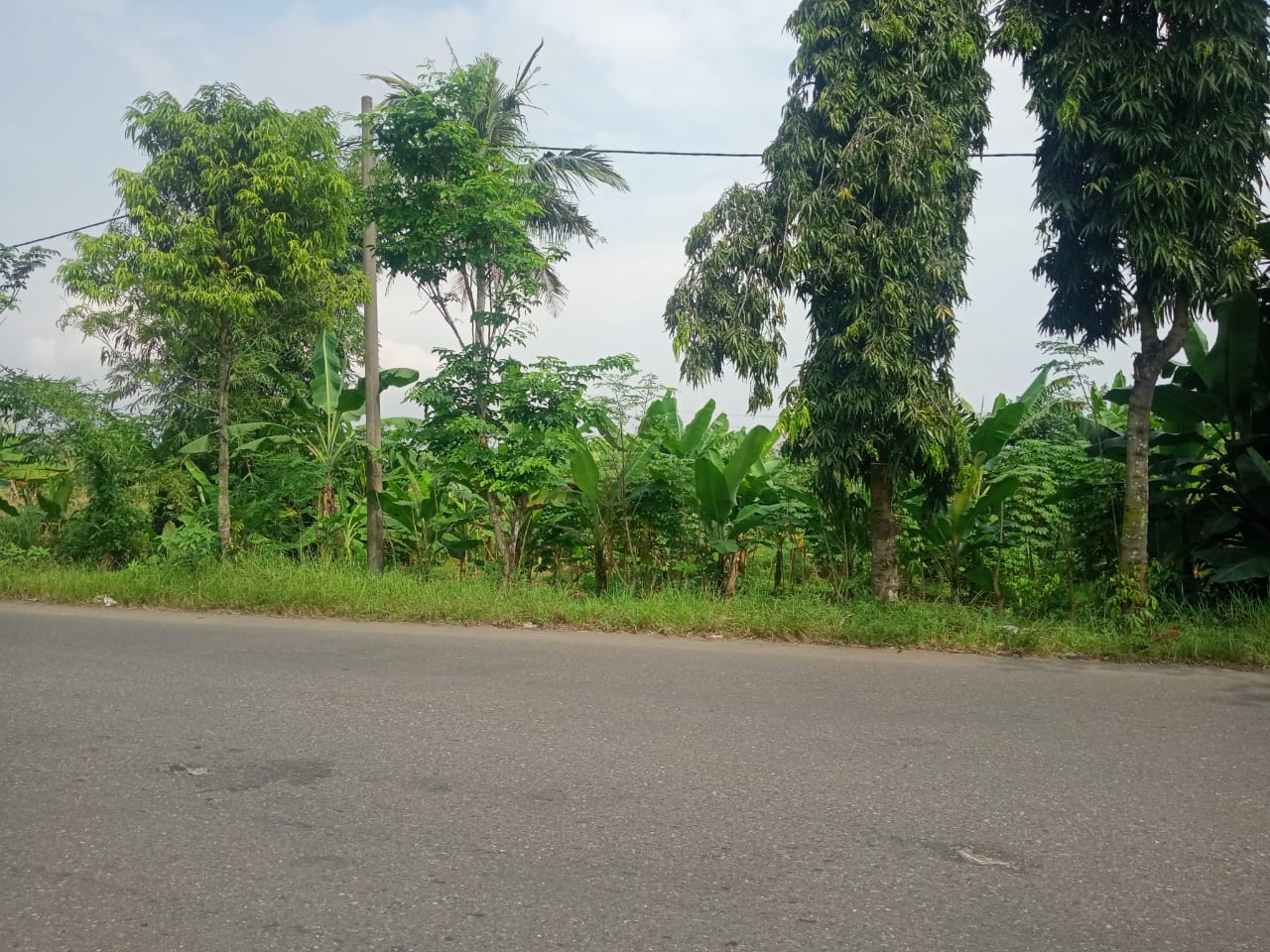 Dijual Tanah Cocok Untuk Gudang 1 Menit Terminal Bus Purwokerto